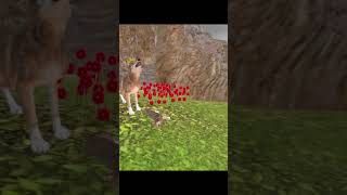 Real Wolf Wild Life Game 3D  Android Gameplay [upl. by Arbmahs21]