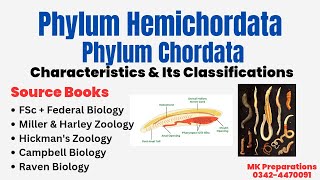 Hemichordata amp Chordata  General Characteristics amp Classification  Miller amp Harley Zoology  PPSC [upl. by Rikki778]