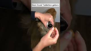 Tipp Dem Hund Tabletten geben 💊 einfach stressfrei 👍 Pillen verabreichen mit Trick Lifehack [upl. by Ayr709]