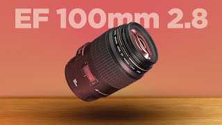 The Canon 100mm F28 USM Macro Lens Review [upl. by Acisse327]