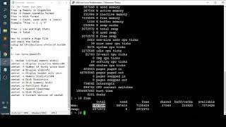 How to check the System Information about Memory usage on Linux [upl. by Eissert]