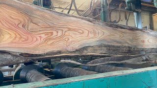 느티나무 원목 제재 Zelkova logs cutting video [upl. by Fawnia]