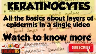 STRUCTURE AND FUNCTION OF EPIDERMIS  KERATINOCYTES [upl. by Taub]