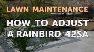 How to Adjust a Rainbird 42Sa [upl. by Rona]