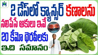 Cancer కణాలను నలిపేస్తోంది  కీమో థెరపీ వరకు పోకుండా ఇది బెస్ట్  Dr Manthena Satyanarayana Raju [upl. by Ahsiek]