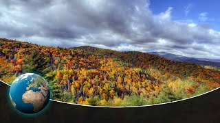 Great Smoky Mountains  Staggering Biodiversity in Americas most visited National Park [upl. by Niarfe]