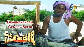 Samarasimha Reddy Telugu Movie  Brahmanandam Comedy Scene  Balakrishna  Simran  ETV Cinema [upl. by Neerom]