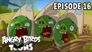 Angry Birds Toons  Double Take  S1 Ep16 [upl. by Adina20]