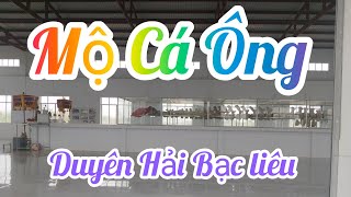 Mộ Cá Ông ở Duyên Hải Hòa Bình Bạc Liêu [upl. by Alessig]