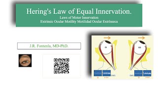 Herings Law of Equal Innervation [upl. by Hashim]