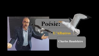 Poésie  LAlbatros de Charles Baudelaire analyse et explication [upl. by Noired]