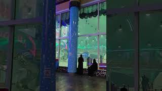 Snow City Riyadh Attraction 🥶🤯🥶 trendingreels trending viral [upl. by Dede535]