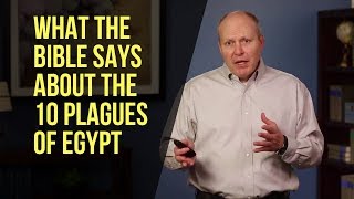 What the Bible Says About the 10 Plagues of Egypt [upl. by Adiuqram]