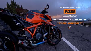 KTM 1290 Super Duke R quotThe Beastquot [upl. by Birdella]