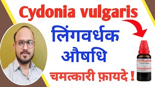 Cydonia vulgaris Q 30Use In Hindi  Homeopathic medicine Cydonia vulgaris Benefits लिंगवर्धक दवा [upl. by Lohse]