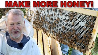 Beekeeping Tip For Getting So Much More Honey [upl. by Ramed]