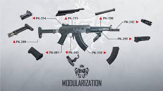 【LCT Airsoft】LCT AK Modularization Part2 [upl. by Knighton]