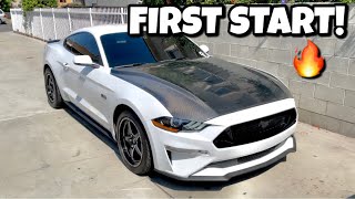 First Start Up On My Cammed 2020 Mustang GT Worth It [upl. by Ahaelam265]