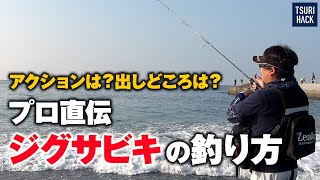 ショアジギで釣れない時の最終兵器「ジグサビキ」の使い方をプロに聞いてきた [upl. by Ahseinet]