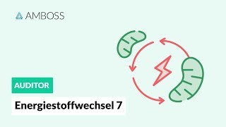 Energiestoffwechsel Teil 7  Atmungskette  AMBOSS Auditor [upl. by Nnyrat]