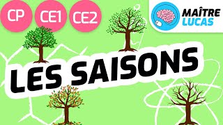 Les saisons CP  CE1  CE2  Cycle 2  Questionner le monde  Se repérer dans le temps [upl. by Sevik]