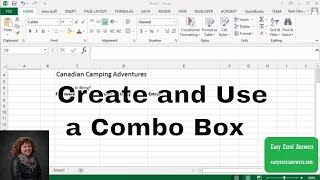 Create and Use a Combo Box in Excel [upl. by Yasmar]