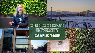 Colorado State University Campus Tour︱2019 [upl. by Ayalat]