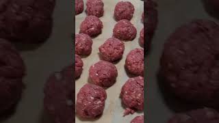 Tasty Venison Meatballs [upl. by Eydnarb]