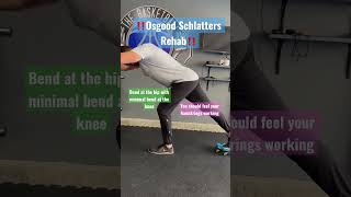 Osgood Schlatter Rehab hamstring strengthening shorts [upl. by Russel]