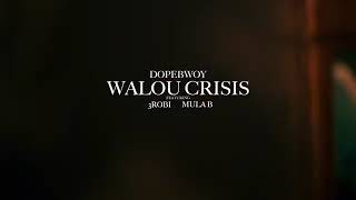 Walou Crisis [upl. by Vince487]