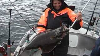 ANGELN IN NORWEGEN AUF DIE RIESEN DER TIEFSEE  HITRA  Fishing Norway Norge [upl. by Tome]