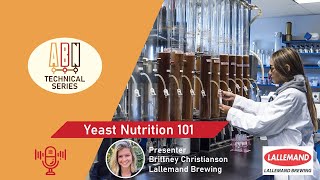 Yeast Nutrients 101 [upl. by Atrahc321]