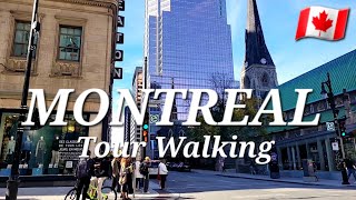 Montreal Walking Tour Sainte Catherine Street [upl. by Innes172]