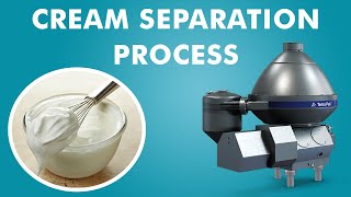 Cream separation process from milk [upl. by Shamrao]