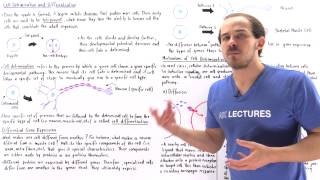 Cell Determination and Differentiation [upl. by Brietta102]