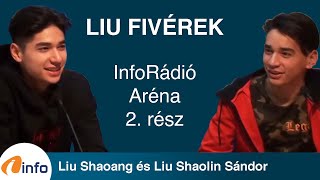 A Liu fivérek naginterjúja 2 rész Liu Shaolin Sándor és Liu Shaoang  InfoRádió  Aréna [upl. by Husein]