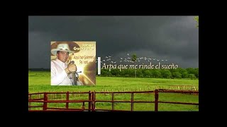 Jorge Guerrero  Arpa que me rinde el sueño [upl. by Anytsyrk]