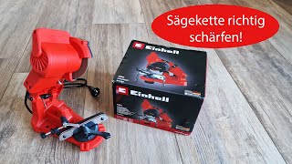 Einhell Sägekettenschärfgerät GCCS 85 E im Test Günstiger Kettenschleifer von Einhell [upl. by Nevag]