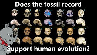 Some Fossils Were Reclassified Therefore Evolution is Wrong [upl. by Onofredo]