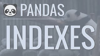 Python Pandas Tutorial Part 3 Indexes  How to Set Reset and Use Indexes [upl. by Joab]