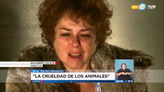 Visión 7  quotLa crueldad de los animalesquot [upl. by Novert]