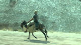 Adult man riding donkey at a gallop in Israel [upl. by Septima]