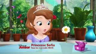 La série du mois de janvier  Princesse Sofia  Tous les mercredis à 18h15 [upl. by Rehpotsrihc]