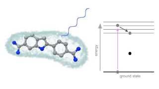 Fluorescence Animation [upl. by Fermin]