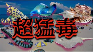 【知っておくべき！】日本の海に潜む身近な超危険生物5選！【猛毒】 [upl. by Raybourne]