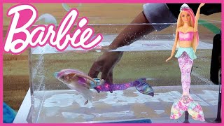 BARBIE Dream Sparkle Lights Mermaid Doll [upl. by Ecnadnak]