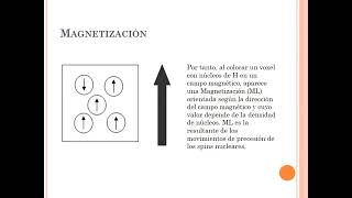 Spin y Magnetización L y T [upl. by Ainiger]