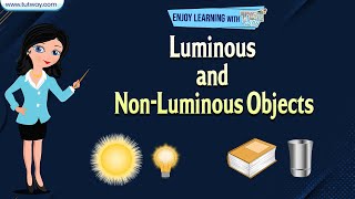 Luminous and NonLuminous Objects  Light Energy  Reflection of Light  Science [upl. by Artamas]