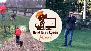 Hond leren komen op commando [upl. by Ignacio]