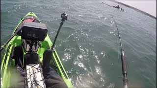 Kayak fishing and its all Pollocks [upl. by Esej]